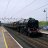 Tiptreebranch