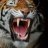 The Growl