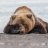 Bear_with_me44