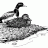 mildertduck