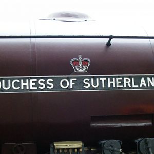 Trains