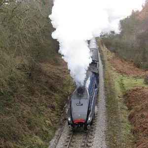 sir nig nymr