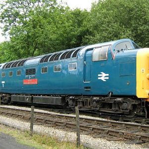 55019 at Grosmont