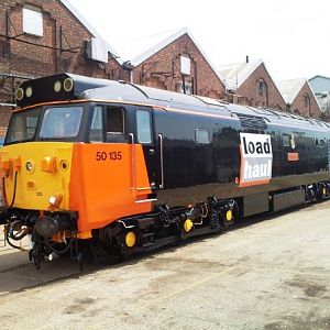 50135arkroyal(50035)