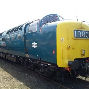 55022