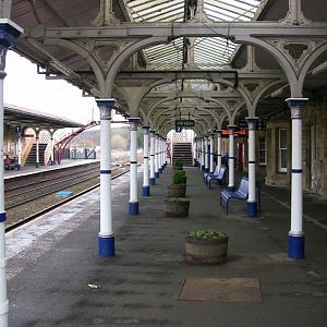 IMG 3352