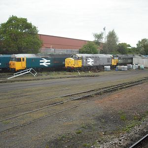 1045.jpg