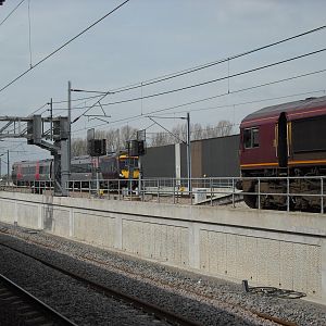 1068.jpg