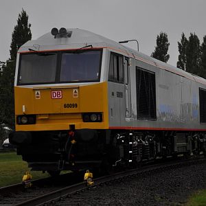DSC 0033