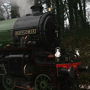 Mayflower