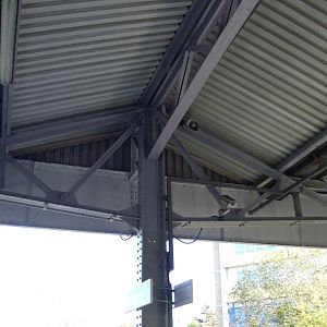 IMGP3178
