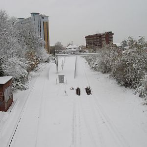 IMGP3435