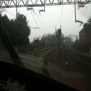 IMG 0711