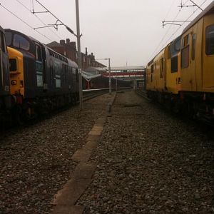 IMG 0752