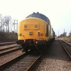 IMG 0754