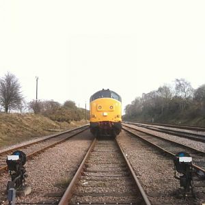 IMG 0759