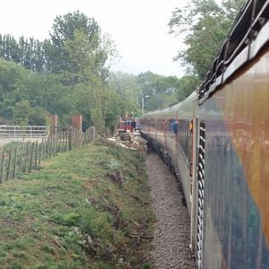 On the Dereham Branch.