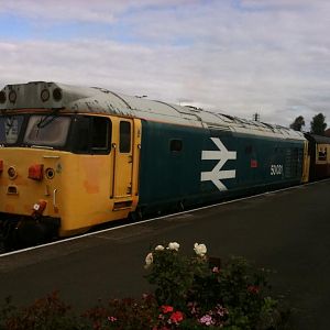 50031