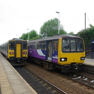 IMGP1247
