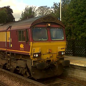 IMG00370 20121006 1146
