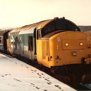 37411