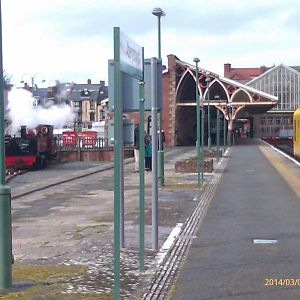 IMAG0854