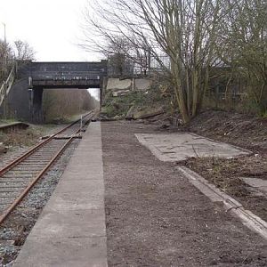 burn naze after being cleared of shrubbery