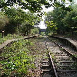 1239667 505884919496481 508310399 n burn naze station fourty years of growth slowly being cleared