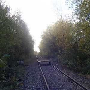 DSCF6007