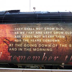 43172 main text