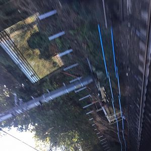 IMG 2824