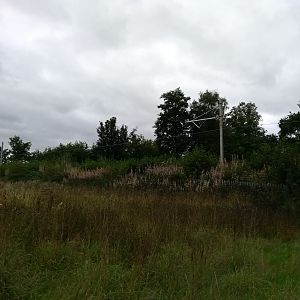 Cambus earth wire