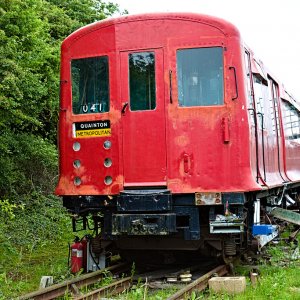 IMJ_27666.jpg