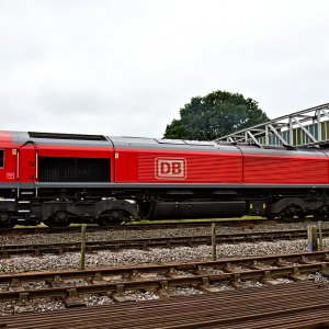 IMJ_27701.jpg