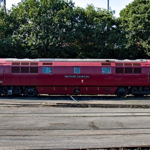 IMJ_12521.jpg