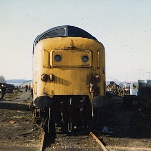 55xxx_2_DN_140282.jpg