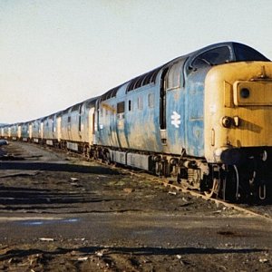 55xxx_DN_140282.jpg