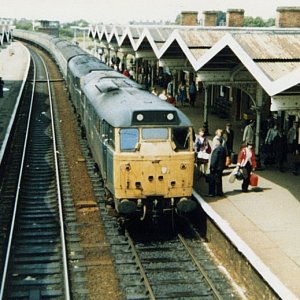 31177_31288_MR_260682.jpg
