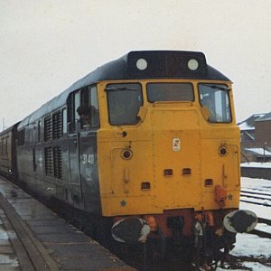 31411_BU_198x.jpg