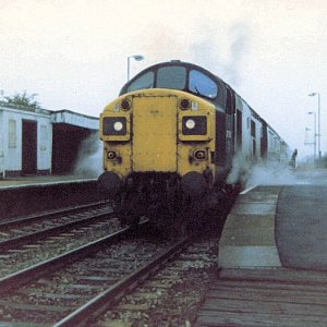 37017_IR_290883.jpg
