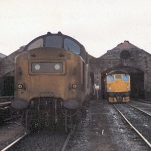 37152_MT_141181.jpg