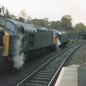 40057_40084_MO_198x.jpg