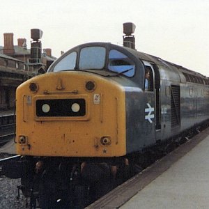 40182_DY_140582.jpg