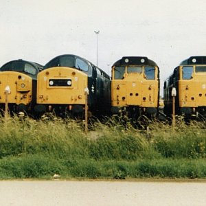 40145_MR_260682.jpg
