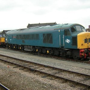 45112.jpg