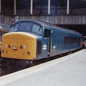 45113_BNS_200687.jpg