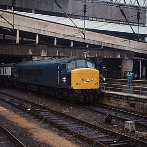 45121_BNS_230587.jpg