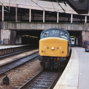 45124_BNS_200787.jpg
