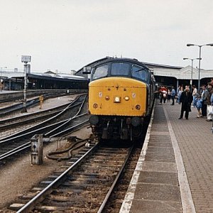 45134_2_BR_130687.jpg