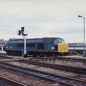 45145_BR_270687.jpg